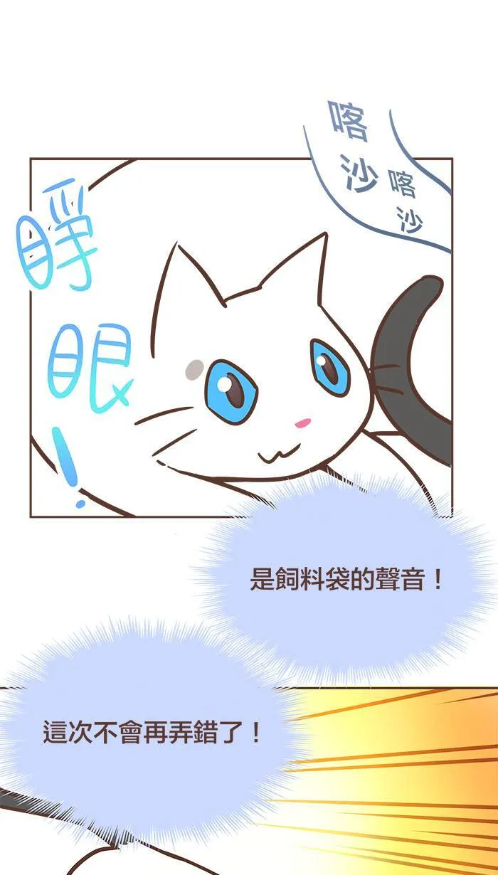 #43 吃饭一定要这么辛苦吗？（下篇） 第7页