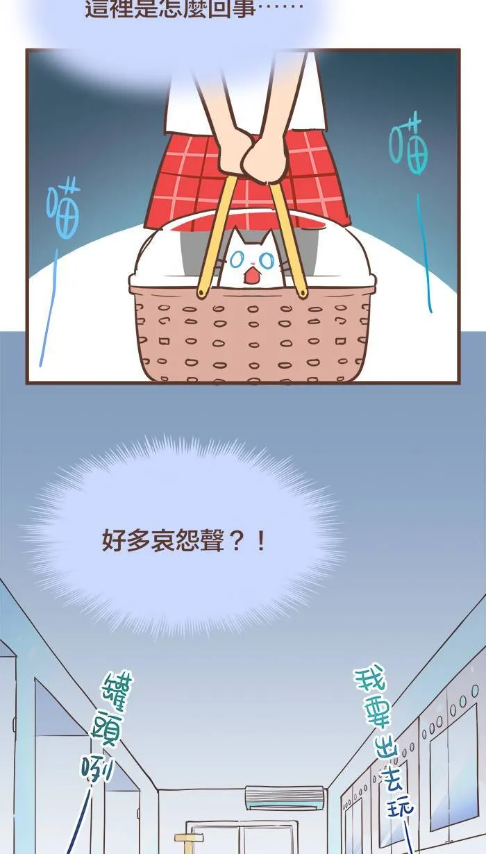 #47 我以为，我们会永远永远在一起⋯⋯ 第8页