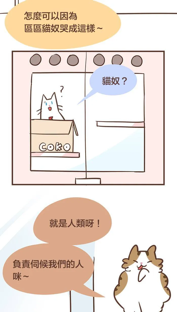 #48 不是我爱哭，只是我很重感情。 第5页