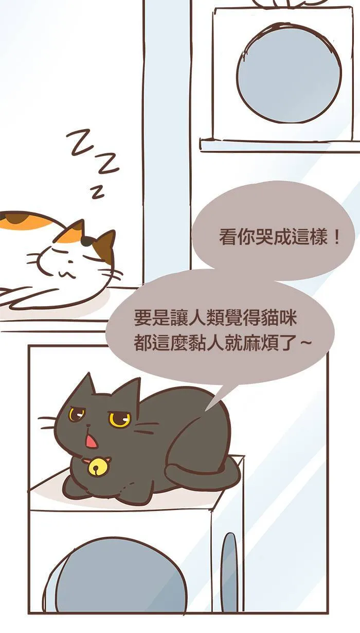 #48 不是我爱哭，只是我很重感情。 第6页