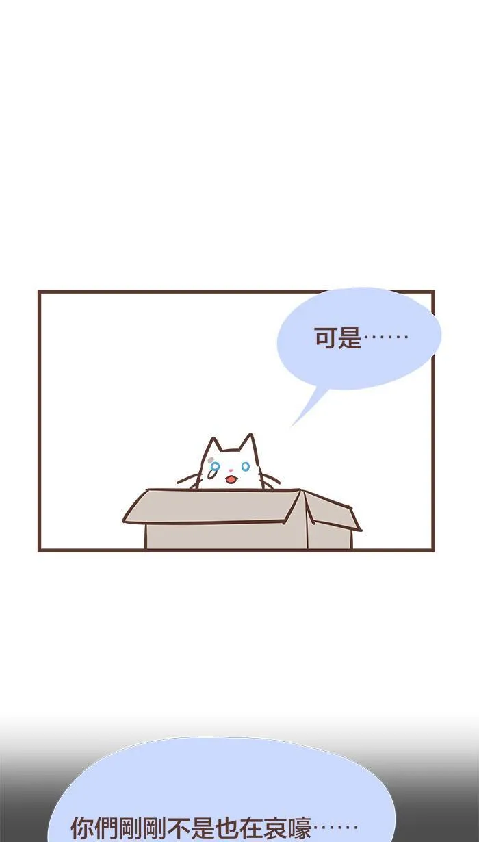 #48 不是我爱哭，只是我很重感情。 第7页