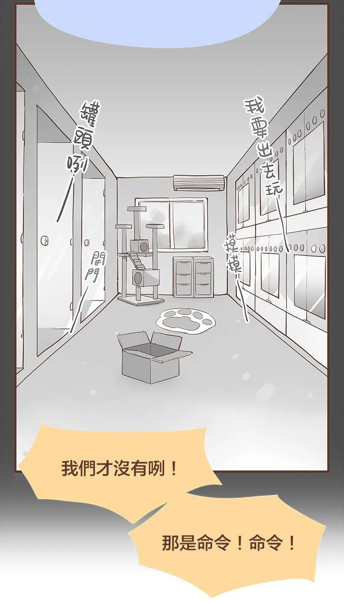 #48 不是我爱哭，只是我很重感情。 第8页