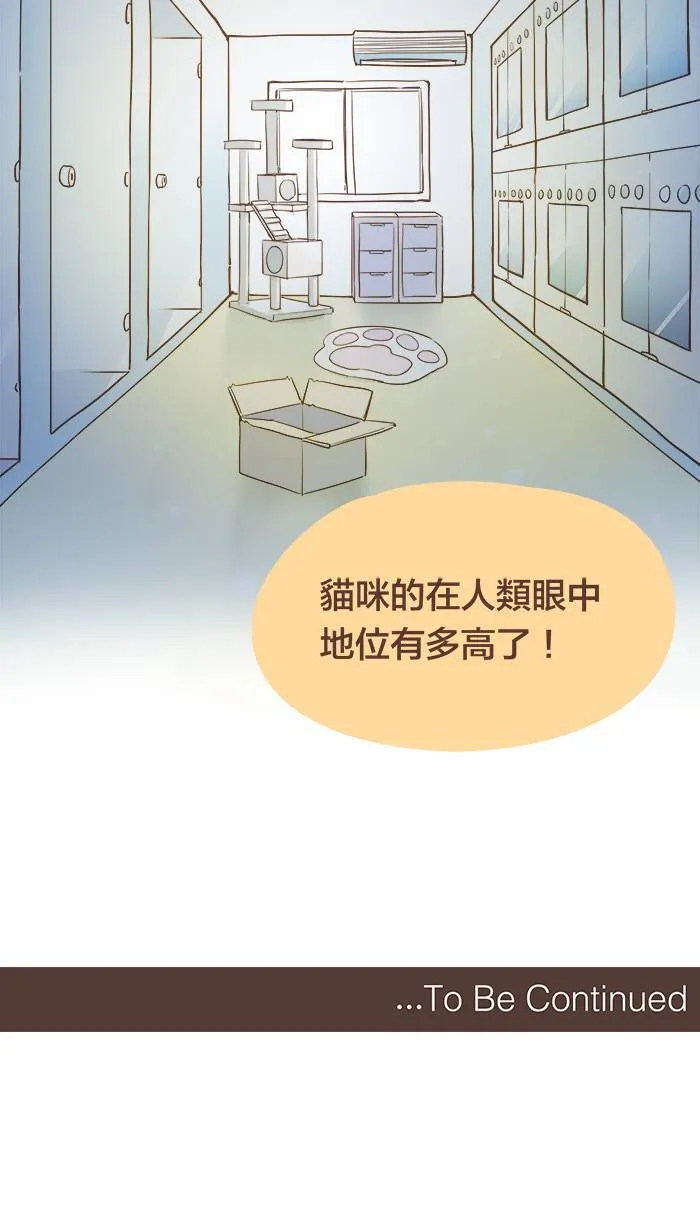 #48 不是我爱哭，只是我很重感情。 第16页