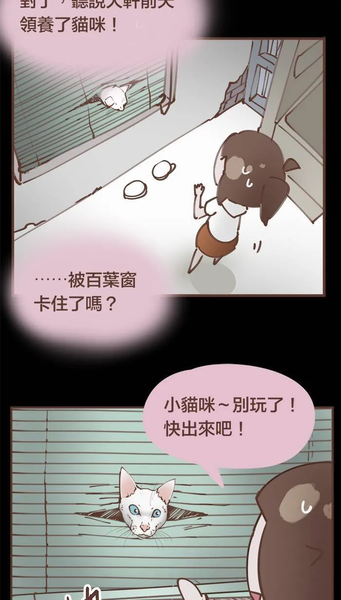 #49 鬼月特别篇：为了省钱住在破旧房子里，真的好吗？ 第11页