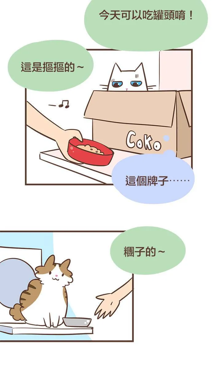 #50 踏上追寻地位、尊严、荣耀之路！ 第6页