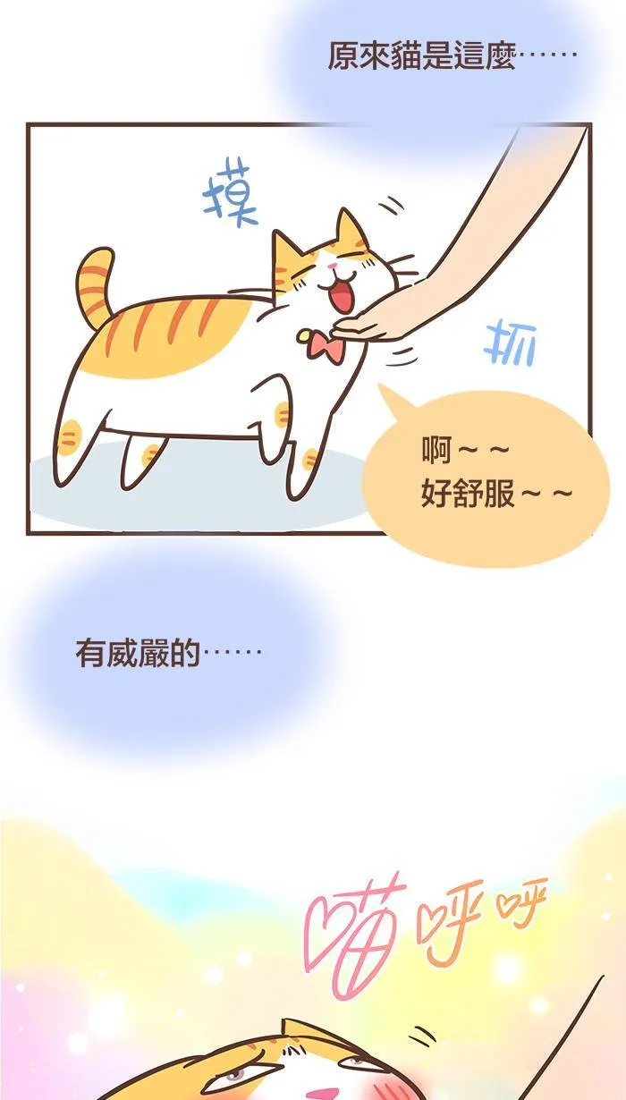 #50 踏上追寻地位、尊严、荣耀之路！ 第15页