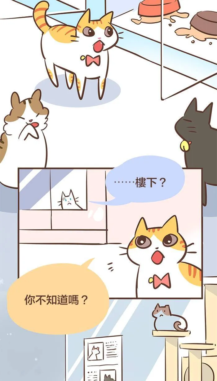 #51 人外有人、天外有天、猫外有猫！ 第5页
