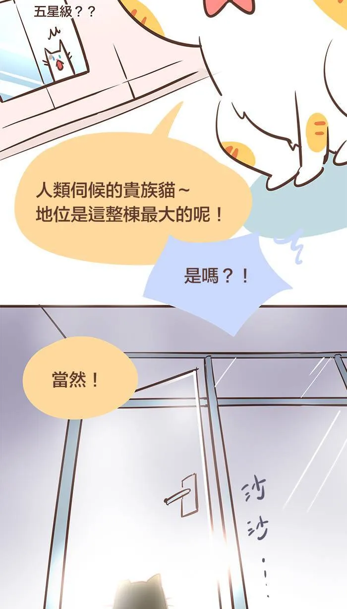 #51 人外有人、天外有天、猫外有猫！ 第11页