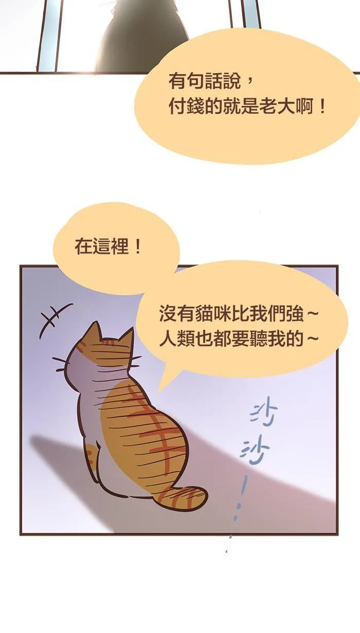 #51 人外有人、天外有天、猫外有猫！ 第12页