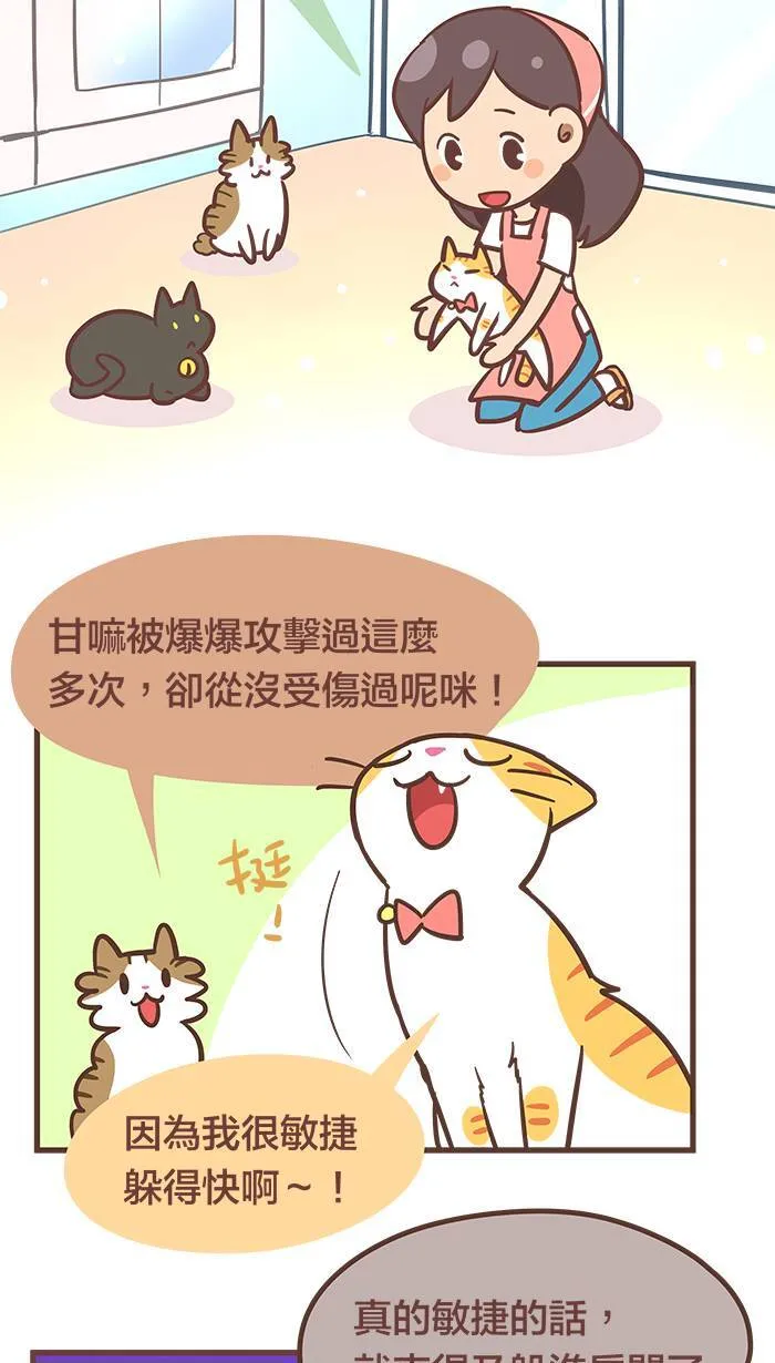 #53 有些人，你永远不该去招惹他！ 第3页