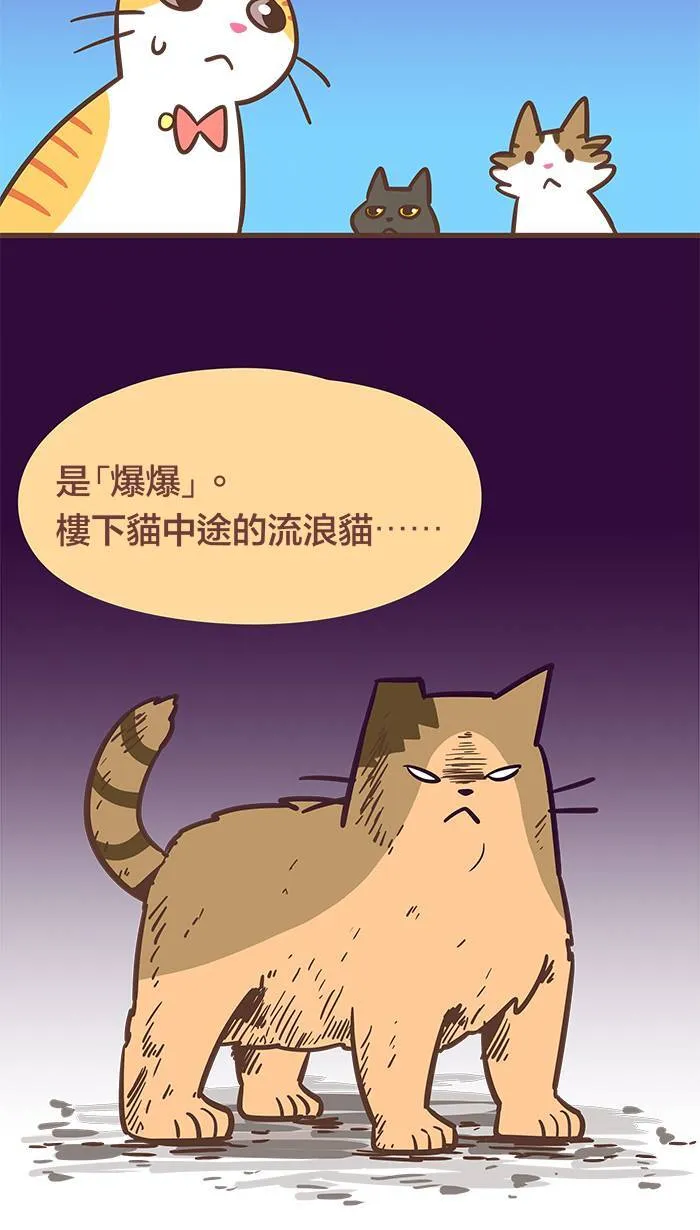 #53 有些人，你永远不该去招惹他！ 第6页
