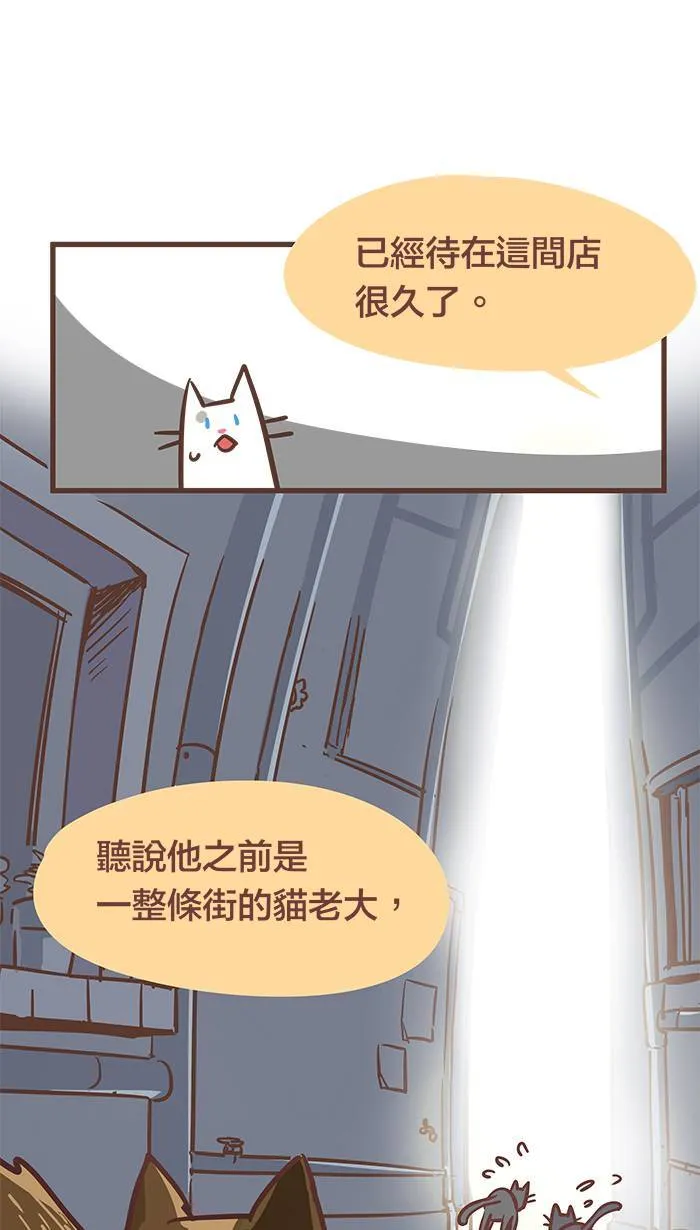 #53 有些人，你永远不该去招惹他！ 第7页