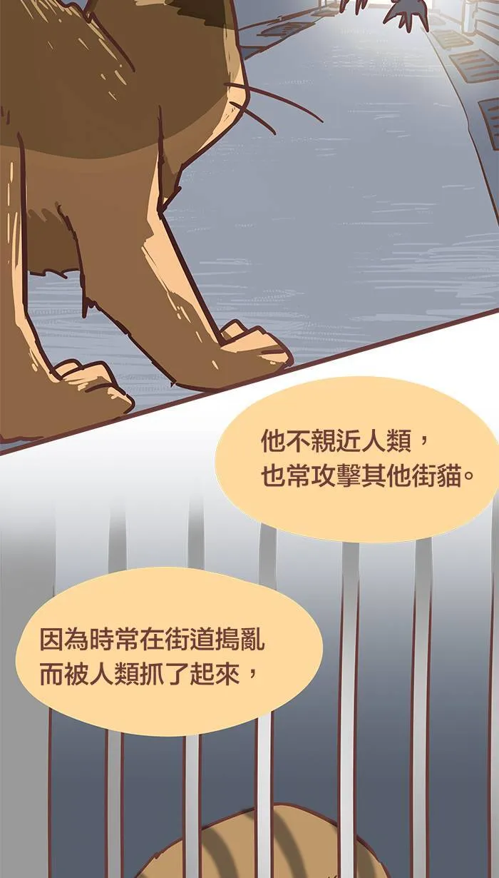 #53 有些人，你永远不该去招惹他！ 第8页