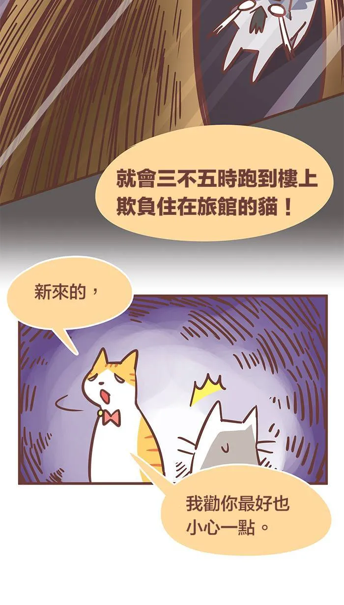 #53 有些人，你永远不该去招惹他！ 第12页