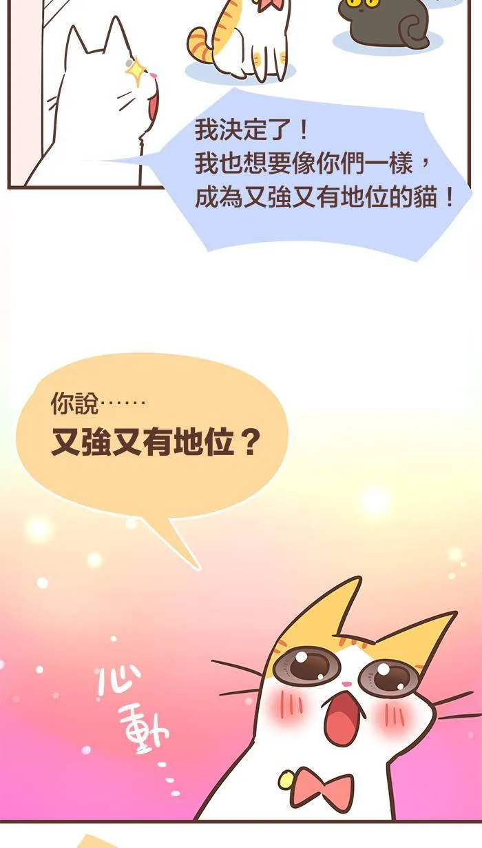 #53 有些人，你永远不该去招惹他！ 第21页