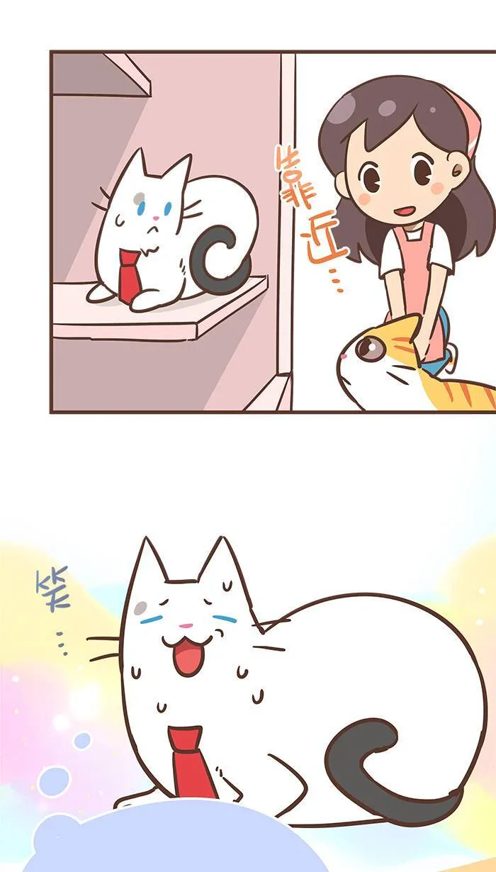 #54 只要被夸奖 我的心就轻飘飘的~ 第11页