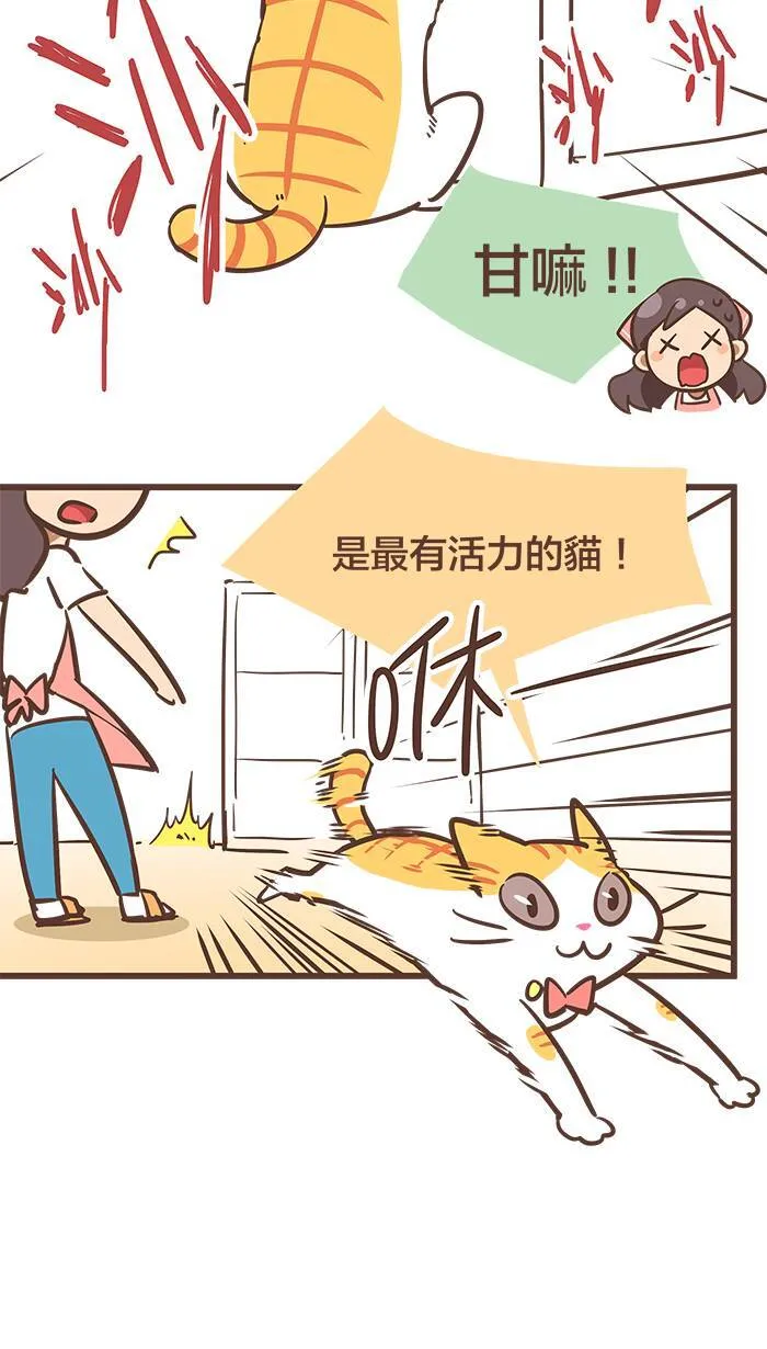 #55 难道说⋯⋯我的猫缘很差吗？ 第3页