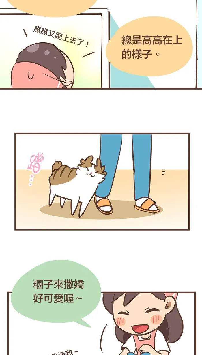 #55 难道说⋯⋯我的猫缘很差吗？ 第5页