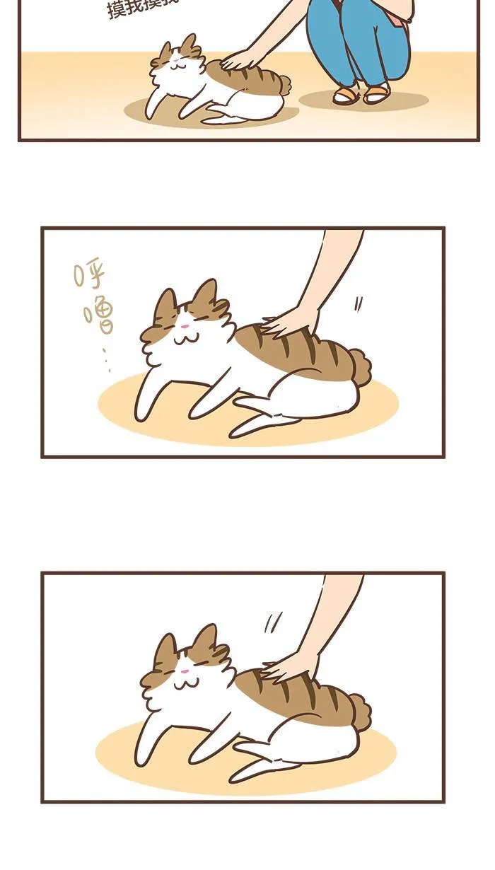 #55 难道说⋯⋯我的猫缘很差吗？ 第6页