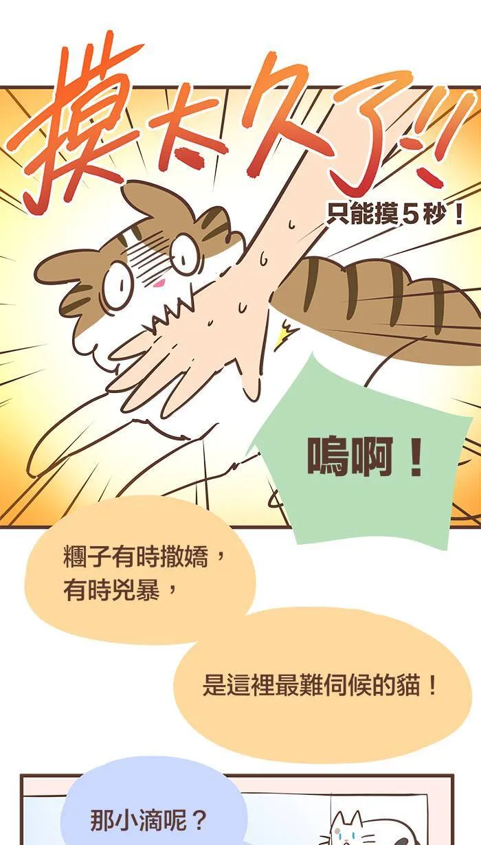 #55 难道说⋯⋯我的猫缘很差吗？ 第7页
