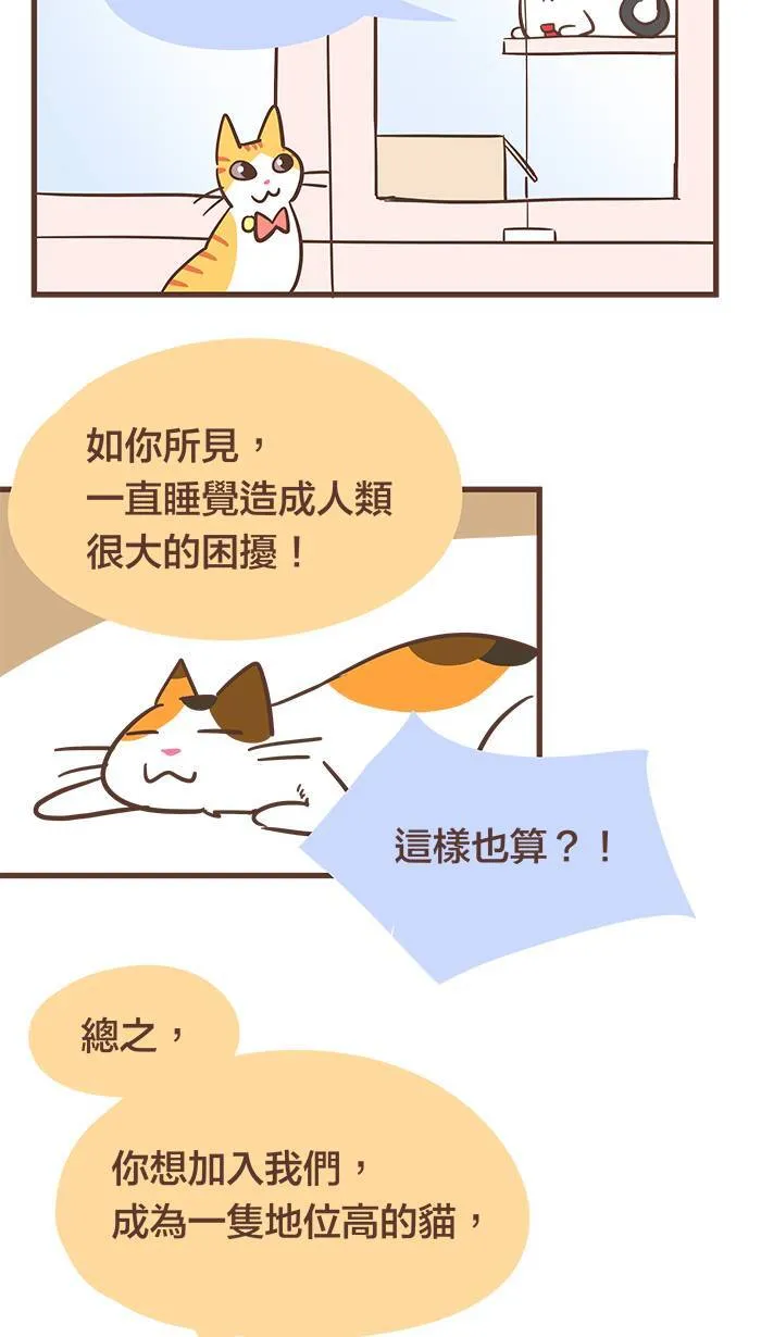 #55 难道说⋯⋯我的猫缘很差吗？ 第8页