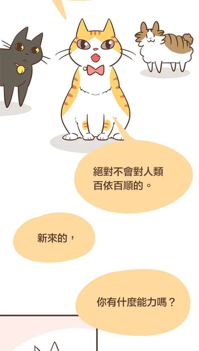 #55 难道说⋯⋯我的猫缘很差吗？ 第9页
