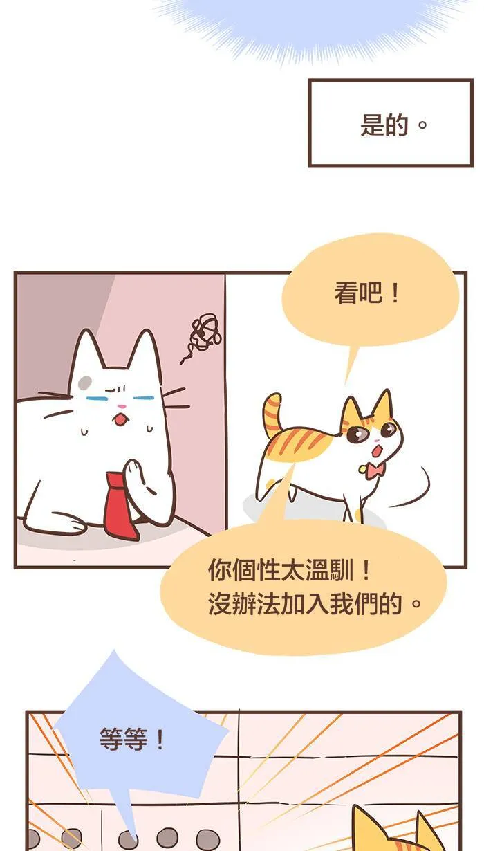 #55 难道说⋯⋯我的猫缘很差吗？ 第11页