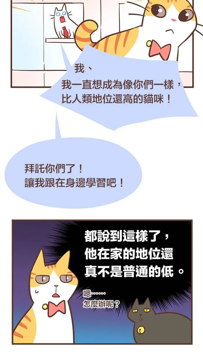 #55 难道说⋯⋯我的猫缘很差吗？ 第12页