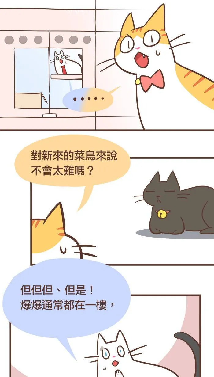 #56 千万不要小看可爱的力量！ 第2页