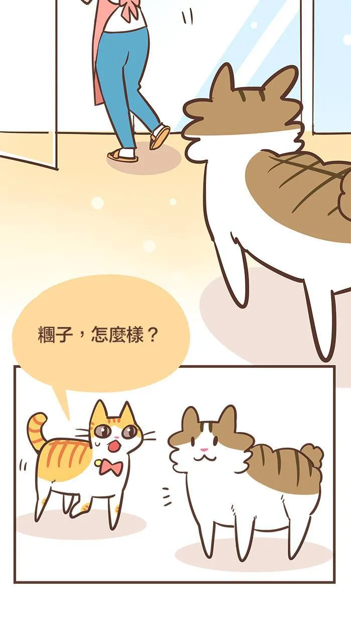 #56 千万不要小看可爱的力量！ 第12页