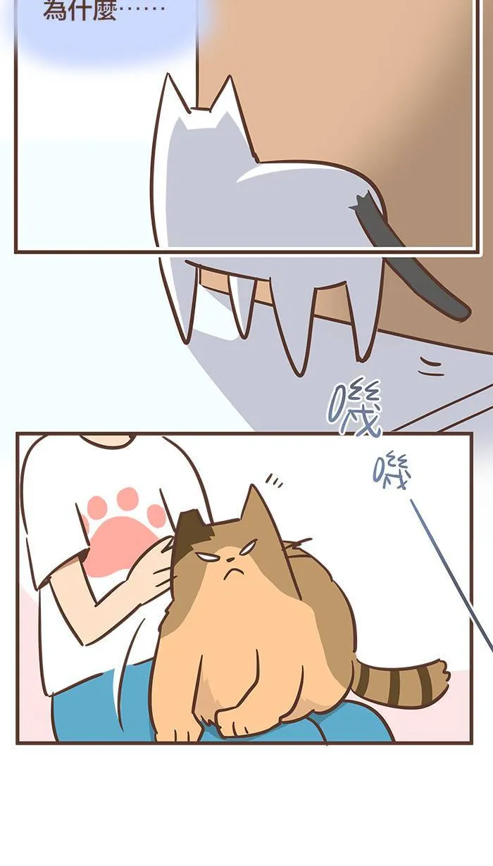 #58 你今天又「听说」了多少事情呢？ 第6页