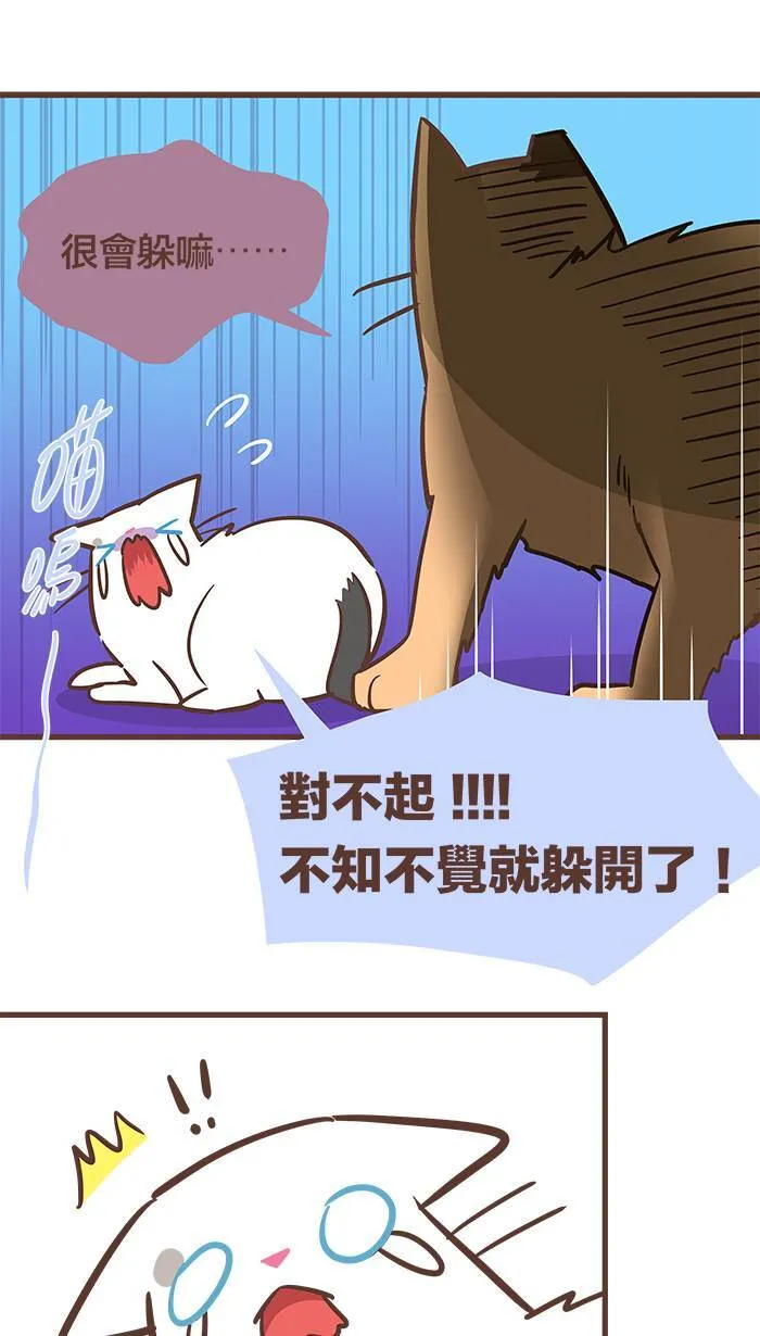 #58 你今天又「听说」了多少事情呢？ 第13页
