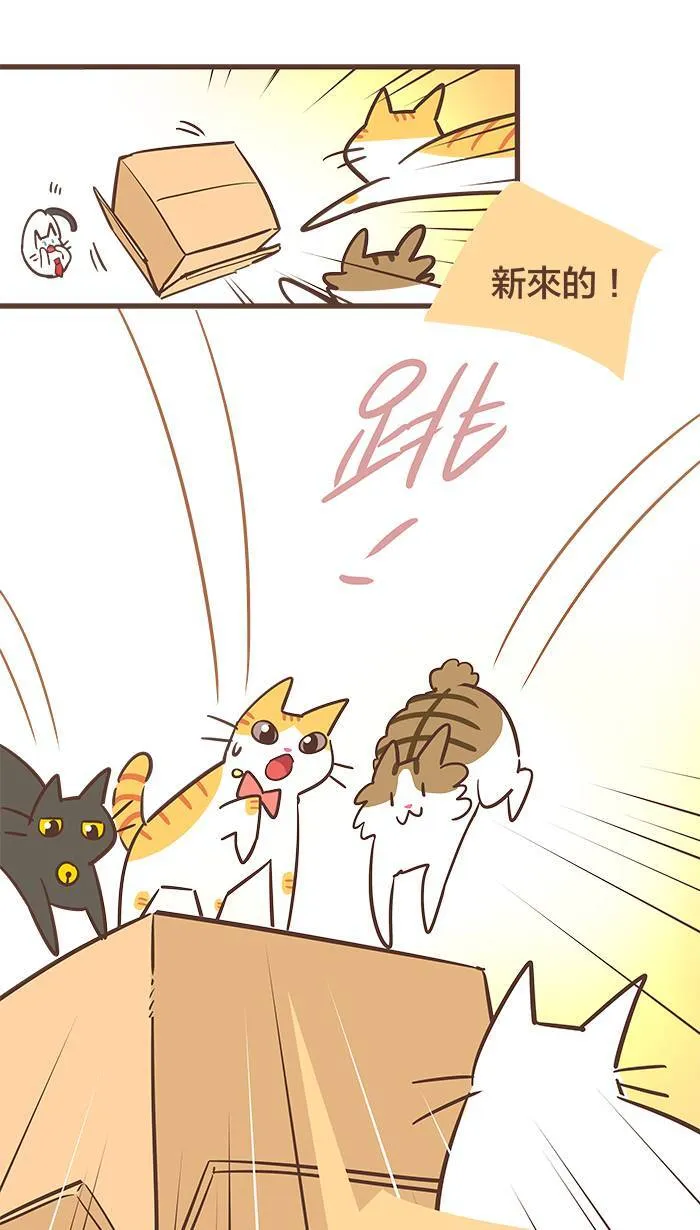 #59 好不容易鼓起的勇气在瞬间溃散⋯⋯ 第7页