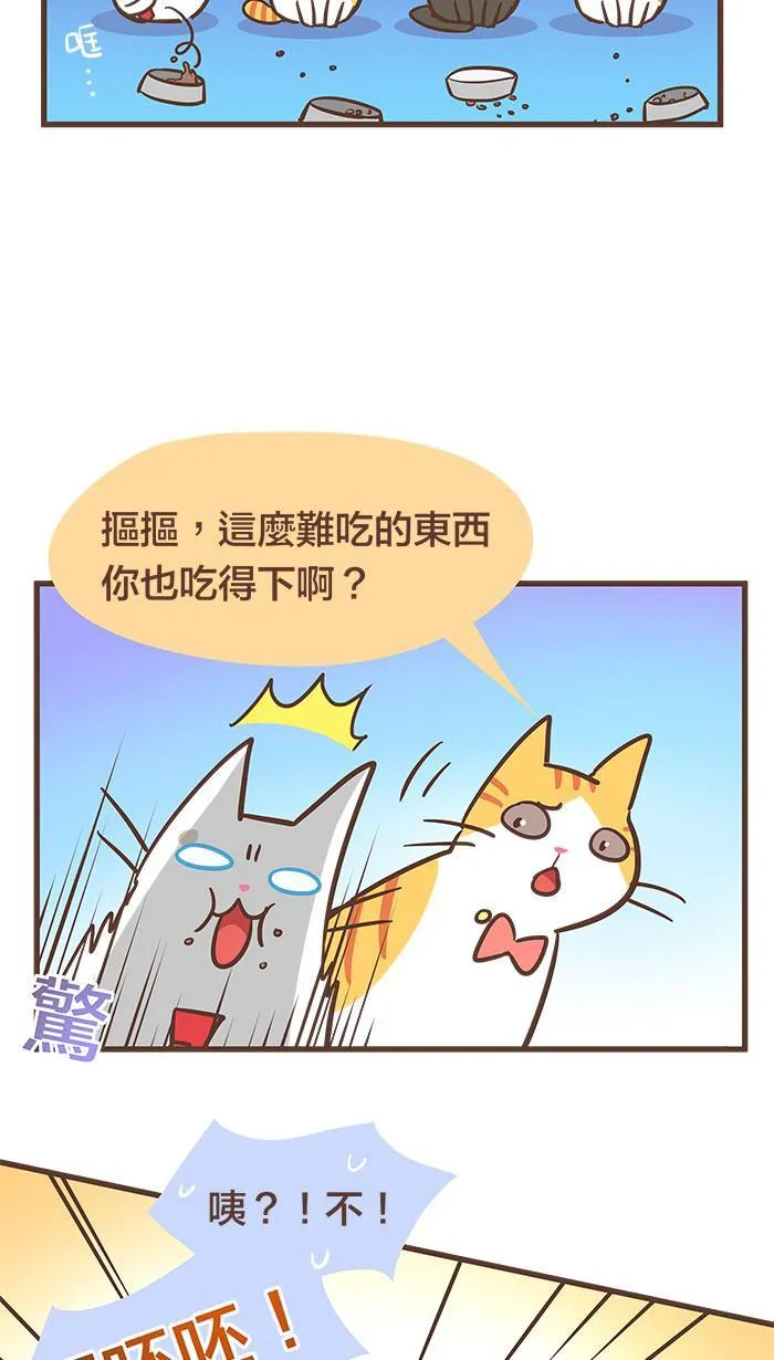 #61 朋友就是：他们做什么，我就做什么？ 第11页