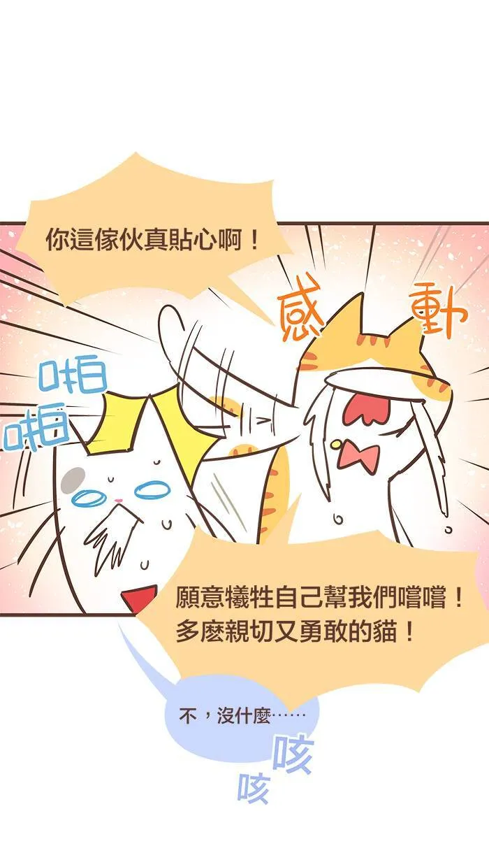 #61 朋友就是：他们做什么，我就做什么？ 第13页