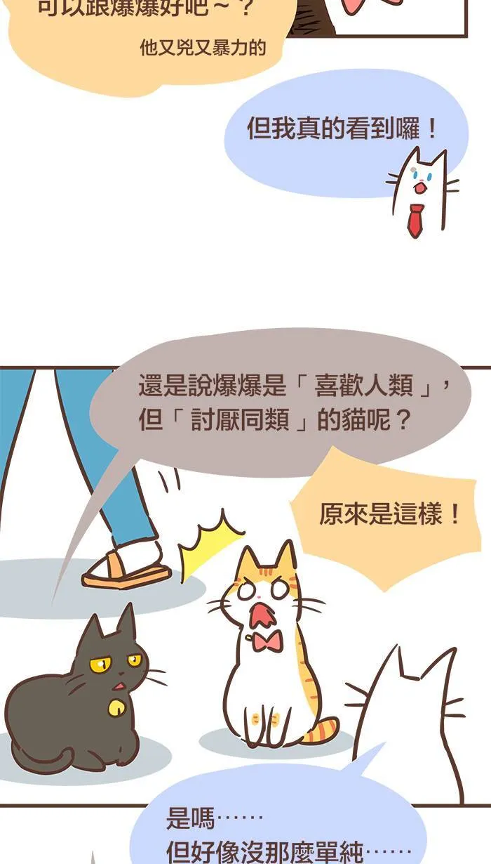 #62 把所有的烦恼通通都留在过去吧！ 第11页