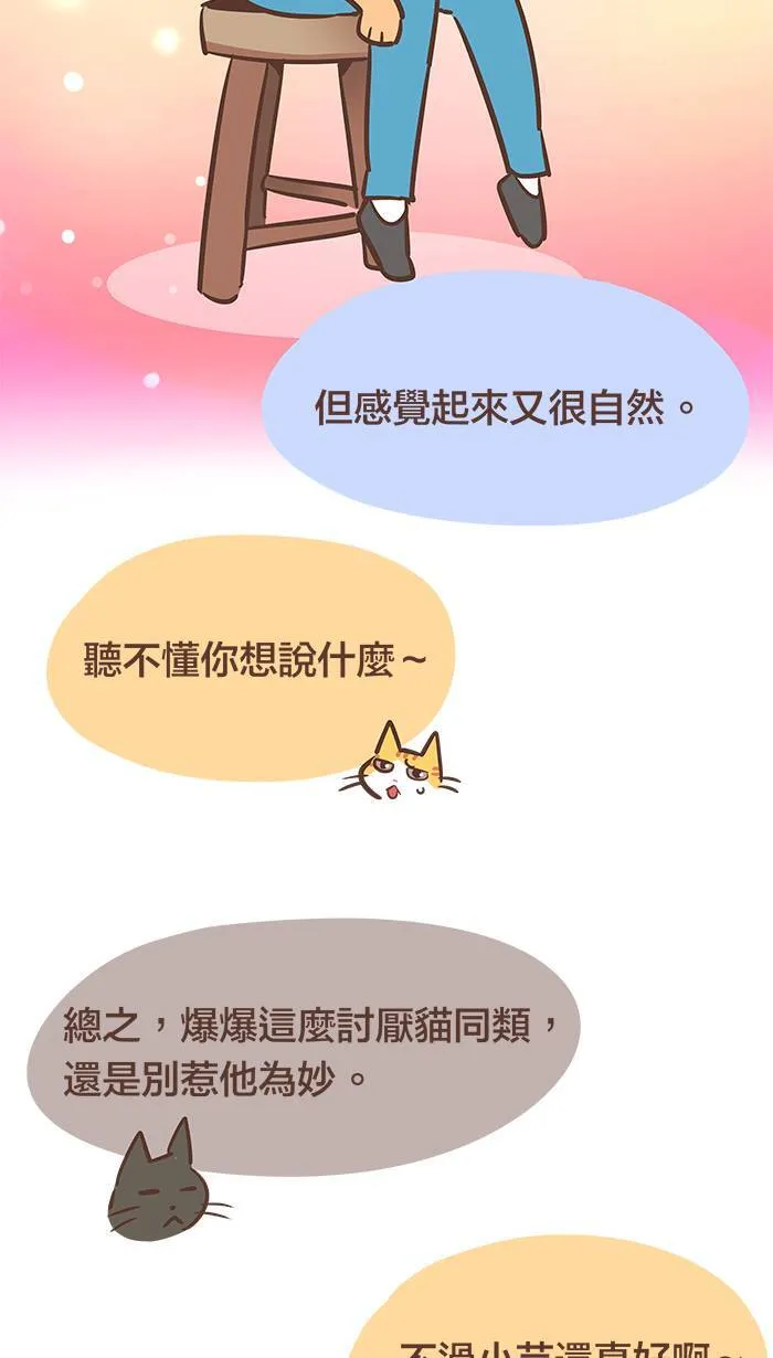 #62 把所有的烦恼通通都留在过去吧！ 第14页