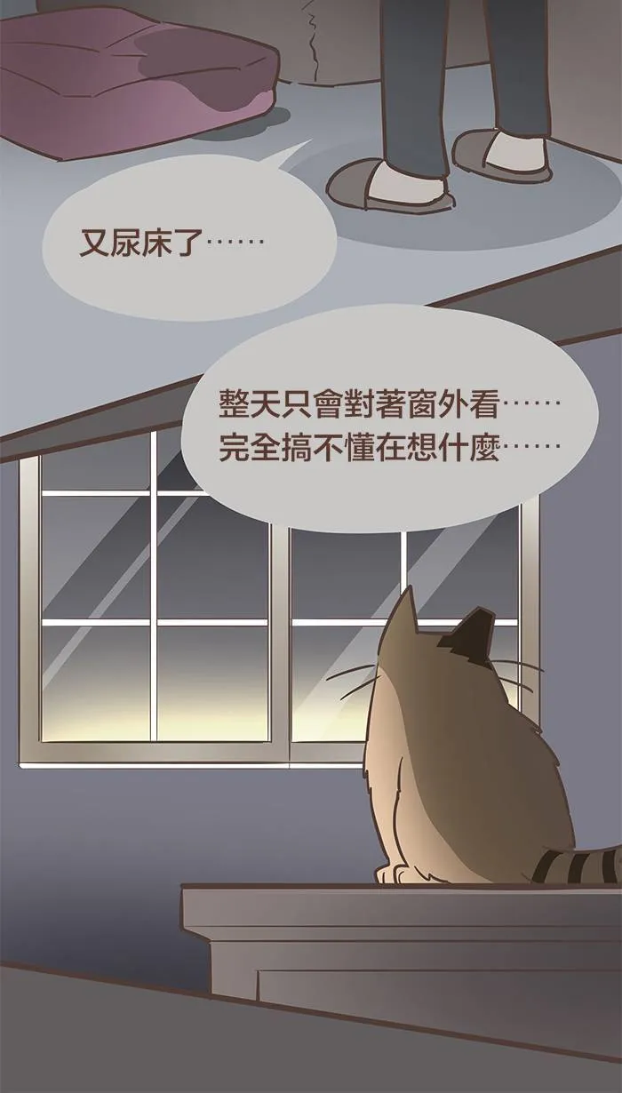#65 不说话，不代表不在意 第12页