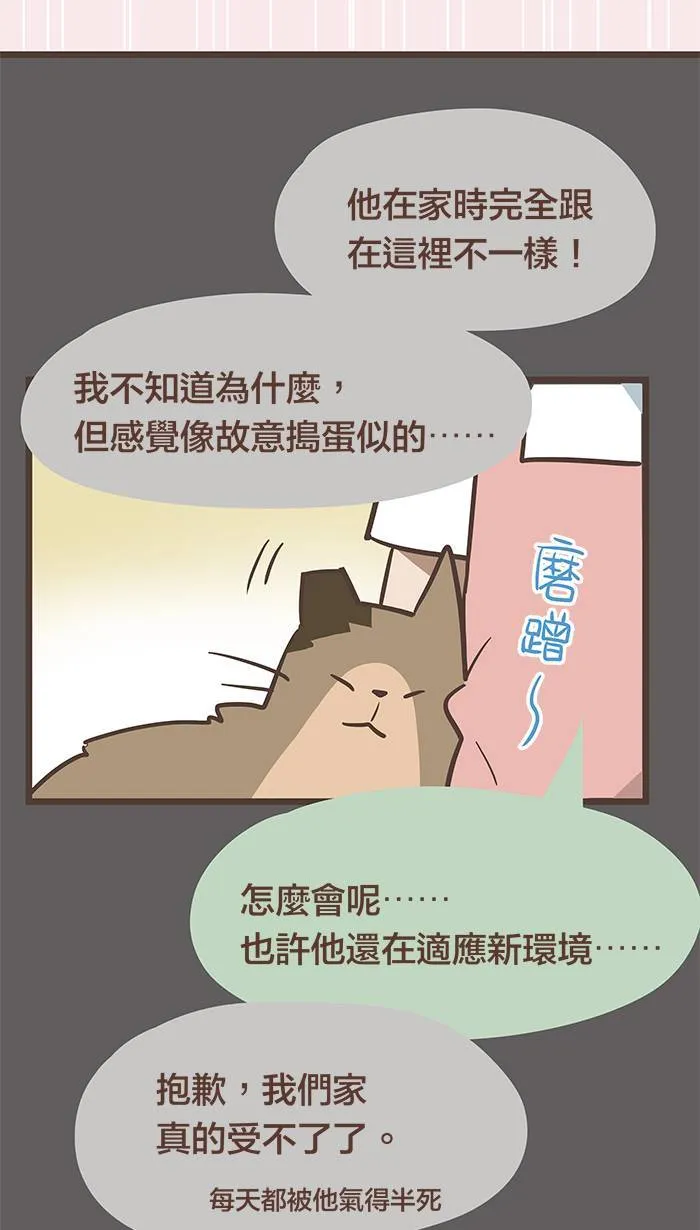#65 不说话，不代表不在意 第15页