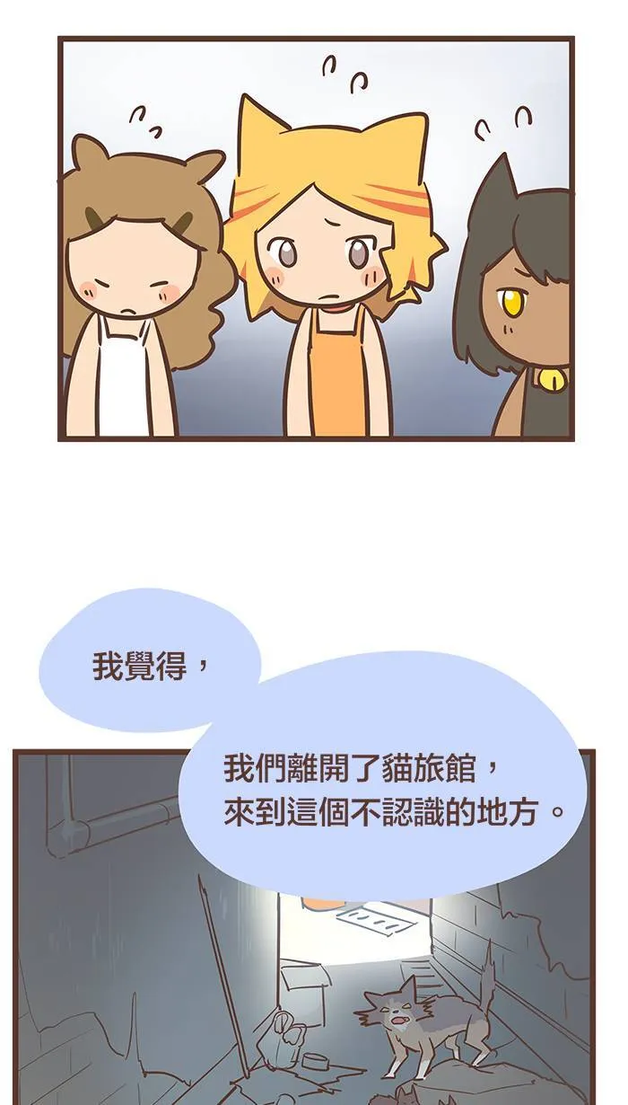 #70 喂？请问您有掉一个叫甘嘛的领结吗？ 第11页