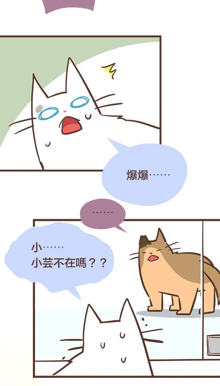 #74 我只能静静地看著你受苦，无能为力。 第14页