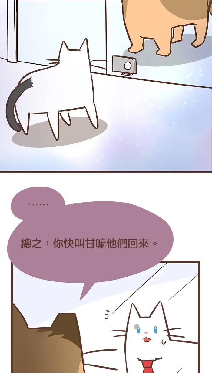 #75 为了妳，我愿意挺身而出！ 第5页