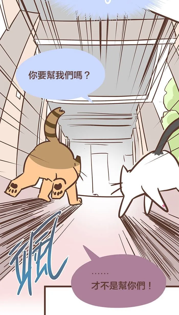 #75 为了妳，我愿意挺身而出！ 第11页