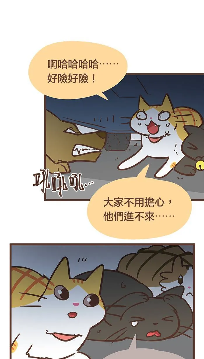 #75 为了妳，我愿意挺身而出！ 第13页