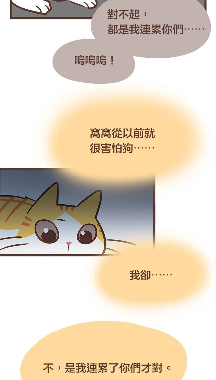 #75 为了妳，我愿意挺身而出！ 第14页