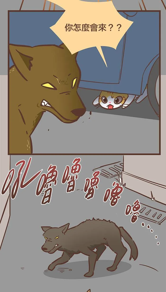 #76 这世界上没有永远的敌人！ 第4页