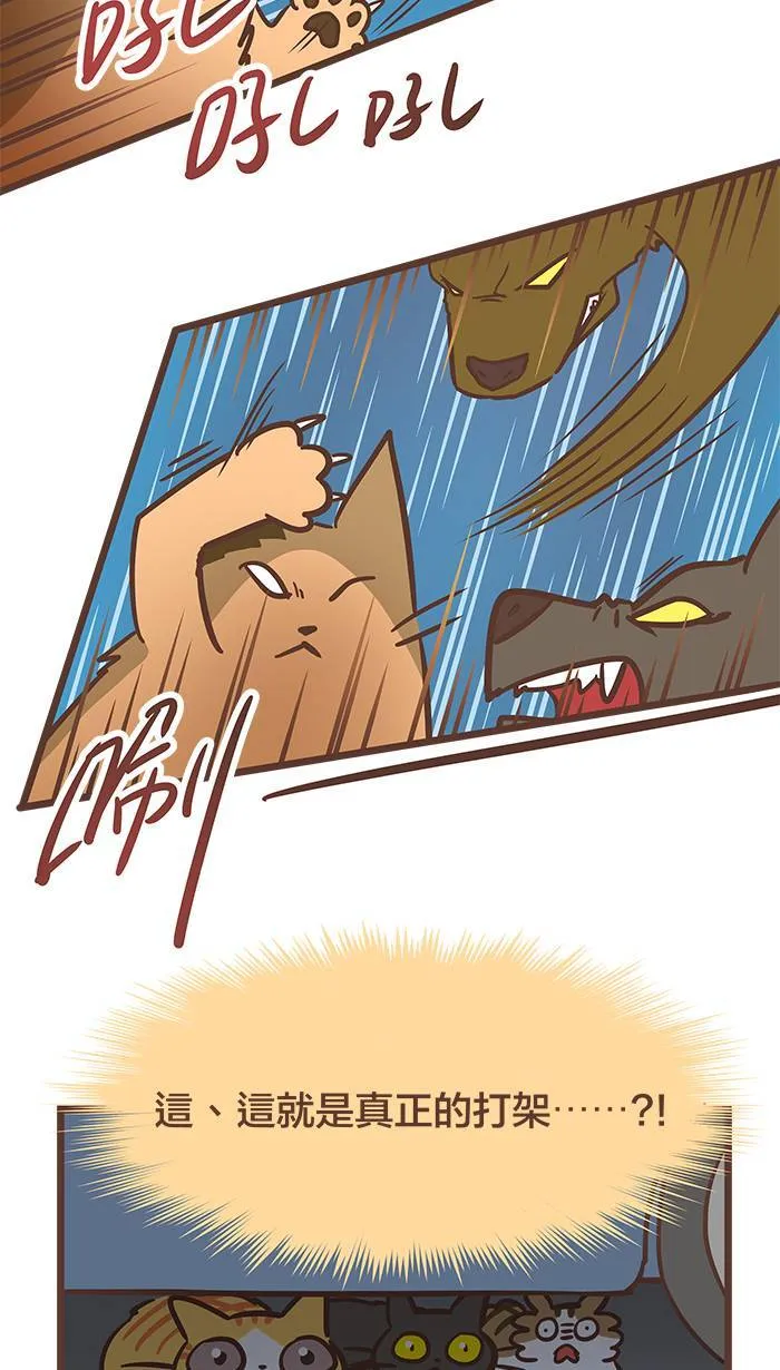 #76 这世界上没有永远的敌人！ 第8页