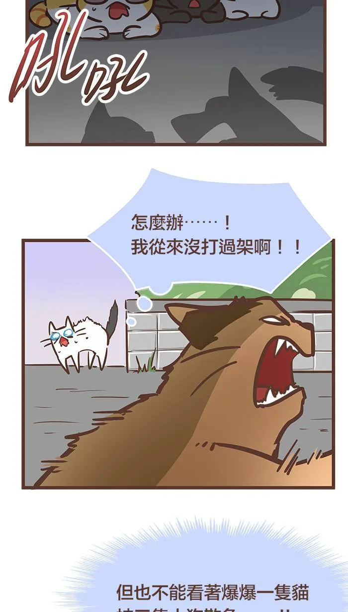 #76 这世界上没有永远的敌人！ 第9页