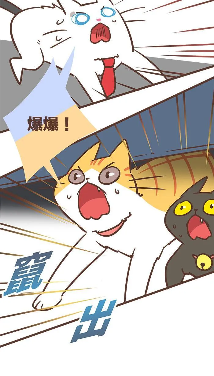 #76 这世界上没有永远的敌人！ 第12页