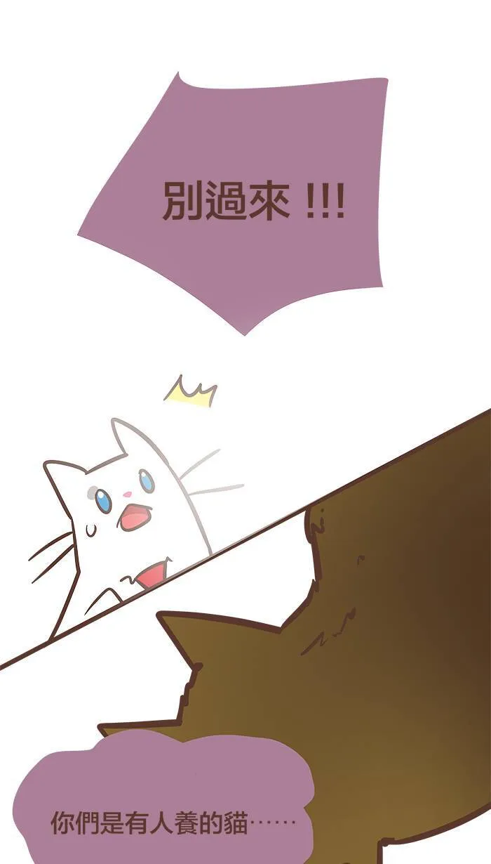 #76 这世界上没有永远的敌人！ 第13页